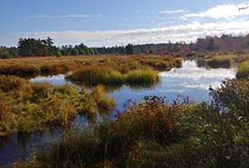 Upper Ohio, NS (Photo by NCC)