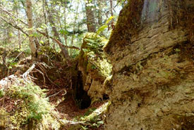 Karst forest with exposed gypsum and open caverns (Photo by NCC)