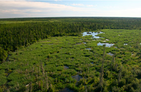 Wood Buffalo National Park, Alberta & Northwest Territories (Photo by Parks Canada) 