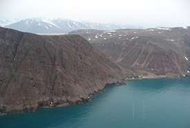 Île Bylot, Nt (Photo de Christie MacDonald de CNC)