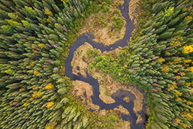 Terres boréales, Ont. (Photo de Adam Bialo, Kontakt)