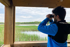 Inside the wildlife viewing blind at Florian Diamante Nature Reserve. Photo by Gen Pintel/NCC staff.