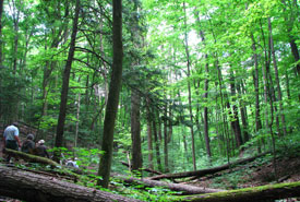 Hikers in Happy Valley Forest, ON (Photo by NCC)