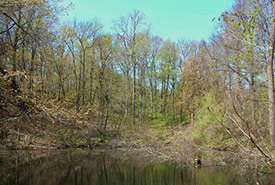 Lathrop Nature Preserve, ON (Photo by NCC)