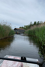 Surveying phragmites in a channel, Fishing Islands, ON (Photo by NCC) 