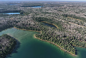 Terres boréales, Ont. (Photo de CNC)