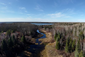 Boreal Wildlands, ON (Photo by NCC)