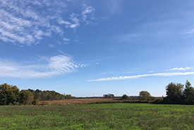 Brighton Wetland from a nearby field in early fall. Note that the cattails in the distance are already turning brown and falling down. (Photo by NCC)