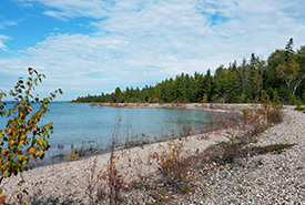 Cockburn Island shoreline (Photo by Mike Lamont) 