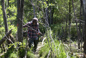 Walking through Emma Young forest, ON (Photo by Mike Dembeck) 