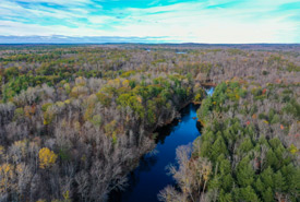 Hastings Wildlife Junction, ON. Photo by NCC.