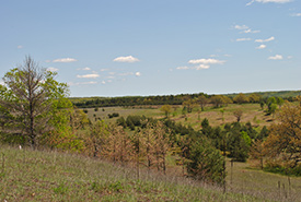 Hazel Bird Nature Reserve, ON (Photo by NCC) 