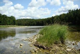 Maitland River, ON (Photo by NCC)