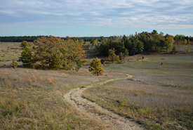 Beautiful vistas await at Hazel Bird Nature Reserve. (Photo by Chelsea Marcantonio)