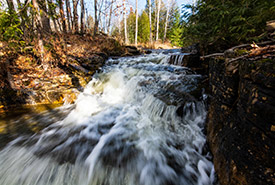 Waterfall, Vidal Bay, ON (Photo by Esme Batten/NCC staff)