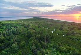 Blooming Point Nature Reserve, PEI (Photo by Mike Dembeck)