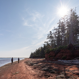 Kwesawe'k (Oultons Island), PEI (Photo by Stephen DesRoches)