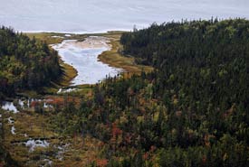 Forêts et milieux humides, rivière Percival, Î.-P.É. (Photo de Mike Dembeck)