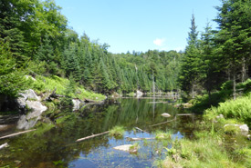 Barbara-Richardson Nature Reserve, QC (Photo by NCC) 