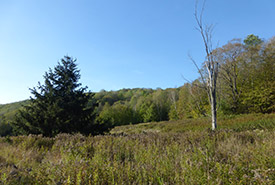 Chemin de Young Settlement (Photo by NCC)