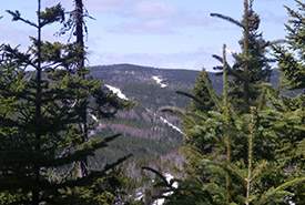 Forillon Corridor, Gaspé Peninsula (Photo by NCC)