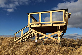 Observation platform,Île-Bonfoin Nature Reserve (Photo by BC2)