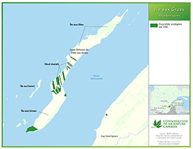 Carte de l'île aux Grues avec les terrains protégés par CNC. Cliquez pour afficher la carte