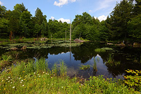 Kenauk, Québec (Photo de Mike Dembeck)