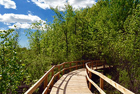 Réserve naturelle de la Tourbière-de-Venise-Ouest, Québec (Photo de CNC)