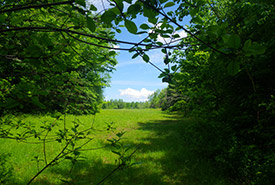 Ste-Agathe-des-Monts, Laurentians (Photo by NCC)