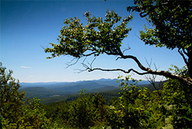 Réserve naturelle des Montagnes-Vertes, Québec (Photo de Corridor appalachien)