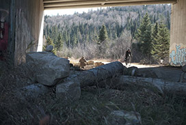 Wildlife crossing, Ivry-sur-le-Lac, QC (Photo by NCC)