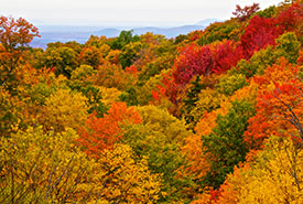 Green Mountains Nature Reserve (Photo by Don and Karol Dabbs