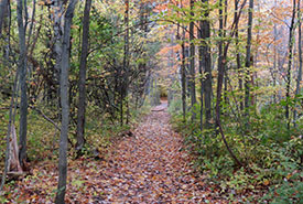 Réserve naturelle Clarke Sydenham (Photo de Jo-Annie Gagnon)