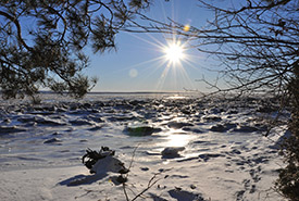 Vue la pointe aux Pins en hiver, réserve Jean-Paul Riopelle, QC (Photo de CNC)