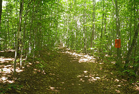 Réserve naturelle du Chemin-Saint-Georges, Rigaud, Québec (Photo de CNC)