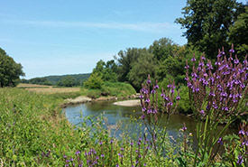 Rivière aux Brochets, QC (Photo by Charlotte Dwyer)