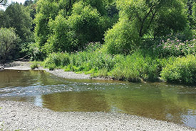 Rivière aux Brochets, QC (Photo by Charlotte Dwyer)