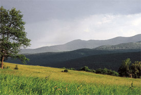 Monts Sutton, Québec (photo de CNC)