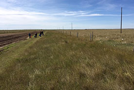 Conservation Volunteers tackling another stretch of fence at Wideview in the summer of 2018. (Photo by Bill Armstrong)