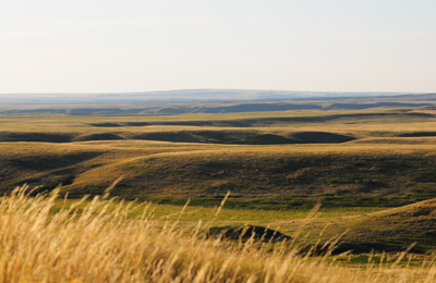 Propriété Wideview, SK (Photo de Calvin Fehr)