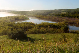 Maymont 5 property, SK (Photo by Mike Dembeck)