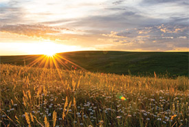 Buffalo Pound, Sask. (Photo de Jason Bantle)