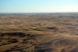 Buffalo Valley, SK (Photo by NCC)