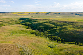 Cave Pasture, SK (Photo by Gabe Dipple)