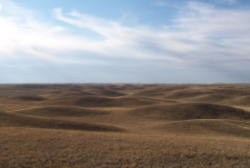 Rolling prairie at Old Man on His Back Prairie and Heritage Conservation Area, SK (Photo by Branimir Gjetvaj)