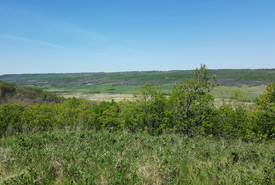 Taking in the view of the Qu’Appelle Valley, SK (Photo by NCC)
