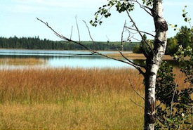 Wetland at the Parklands Area, SK (Photo by NCC)