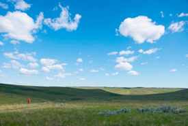 Wideview, SK (Photo by Bill Armstong)