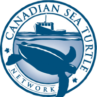 Canadian Sea Turtle Network logo